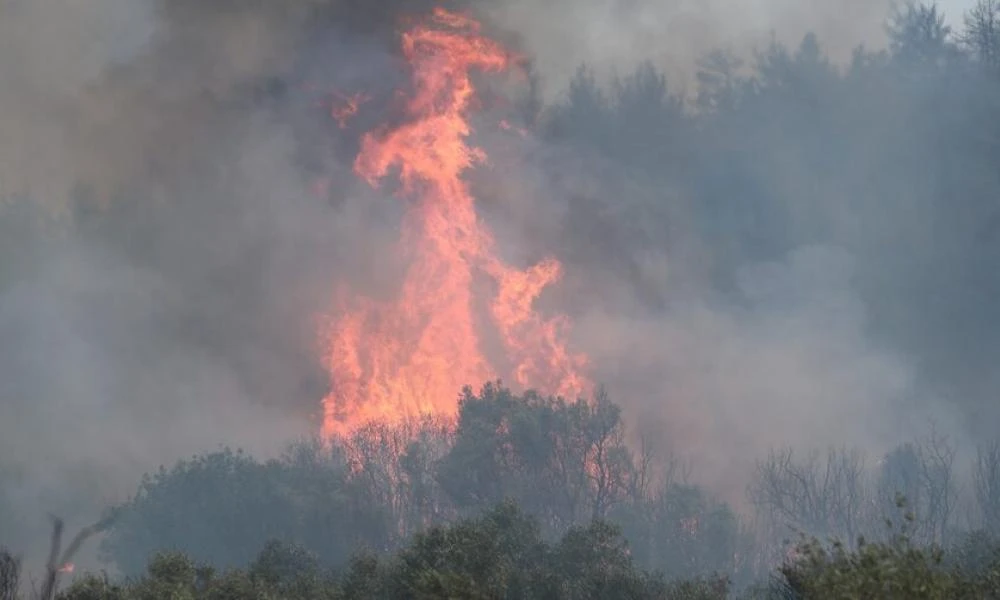 Στυλίδα Φθιώτιδας: Φωτιά σε δασική έκταση στο Άνυδρο